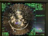 nav1